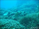 Dateiname=bali-uw005.jpg
Dateigröße=72KB
Abmessungen: 640x480
hinzugefügt am: 27. April 2011 bali-uw005.jpg
