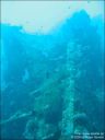 bali-uw079.jpg