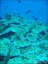 bali-uw146.jpg