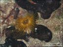 tuerkei-2003_uw_06.jpg