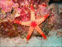 Dateiname=uw_2009_066.jpg
Dateigröße=81KB
Abmessungen: 640x480
hinzugefügt am: 27. April 2011 uw_2009_066.jpg